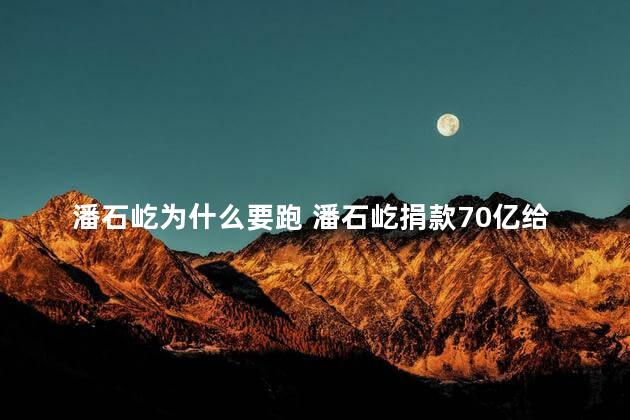 潘石屹为什么要跑 潘石屹捐款70亿给美国